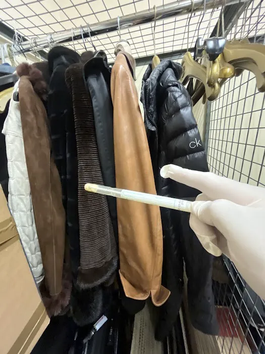 Miami Mold Services Picture 1