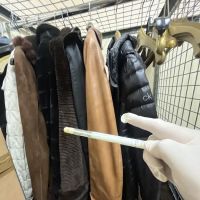 Miami Mold Services ico