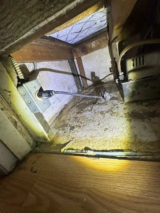 Miami Mold Services Picture 6