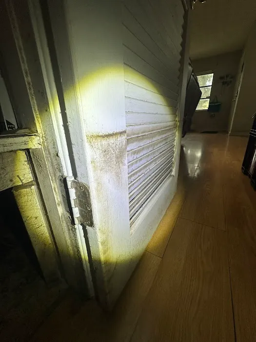 Miami Mold Services Picture 4