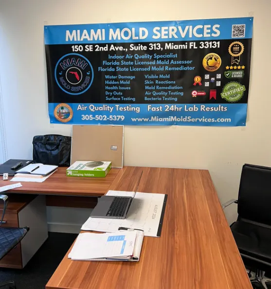 Miami Mold Services Picture 7