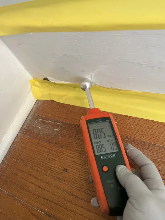 Miami Mold Services Picture 2