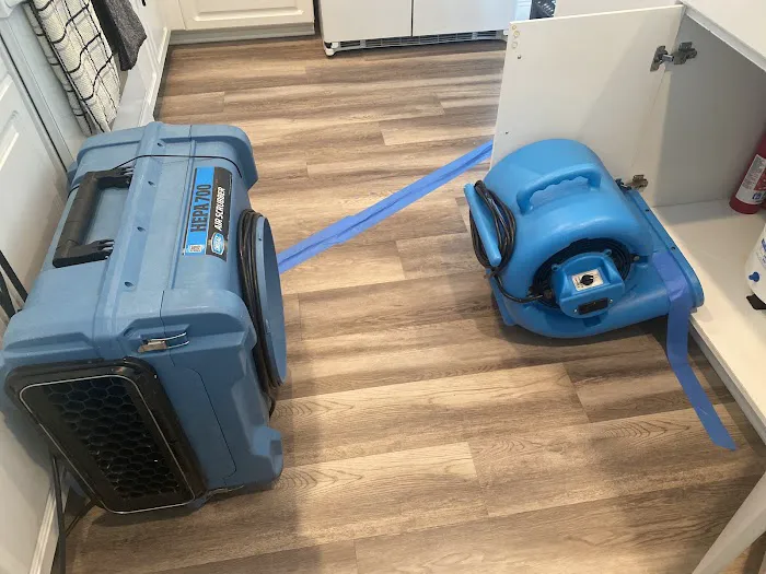 The Mold Avengers | Restoration Company Florida Picture 1