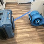 The Mold Avengers | Restoration Company Florida