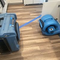 The Mold Avengers | Restoration Company Florida ico