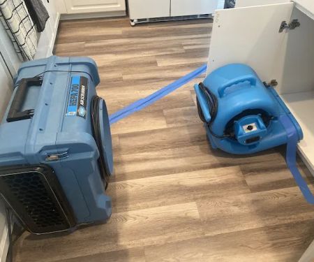 The Mold Avengers | Restoration Company Florida