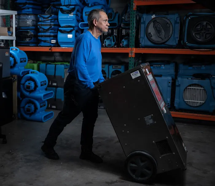 The Mold Avengers | Restoration Company Florida Picture 9