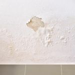 Nexus Water Damage Restoration Miami