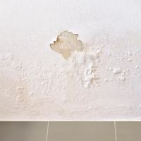 Nexus Water Damage Restoration Miami ico