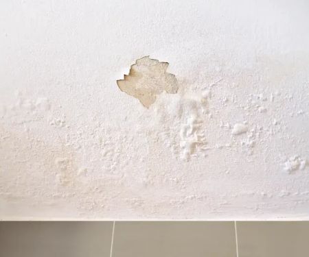 Nexus Water Damage Restoration Miami
