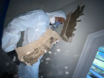 Total Water Damage Restoration Miami FL Picture 8