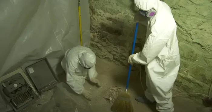 Urgent Mold Removal Miami Picture 3