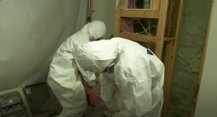 Urgent Mold Removal Miami Picture 1