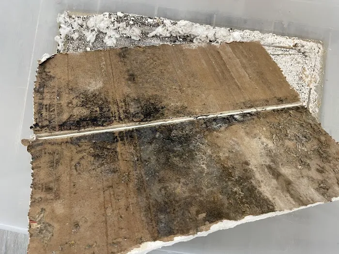 Mold Environmental Solution Inc Picture 1