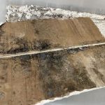 Mold Environmental Solution Inc