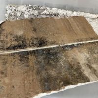 Mold Environmental Solution Inc ico