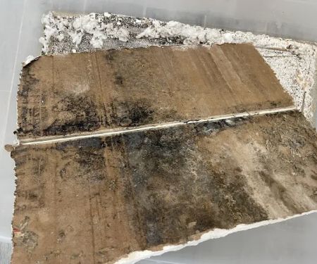 Mold Environmental Solution Inc