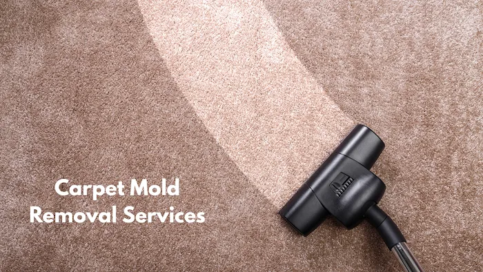 Miami Mold Professionals Picture 9