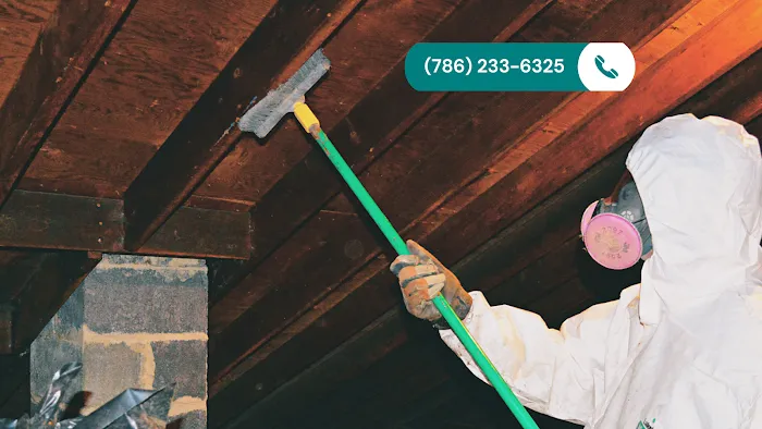 Miami Mold Professionals Picture 5