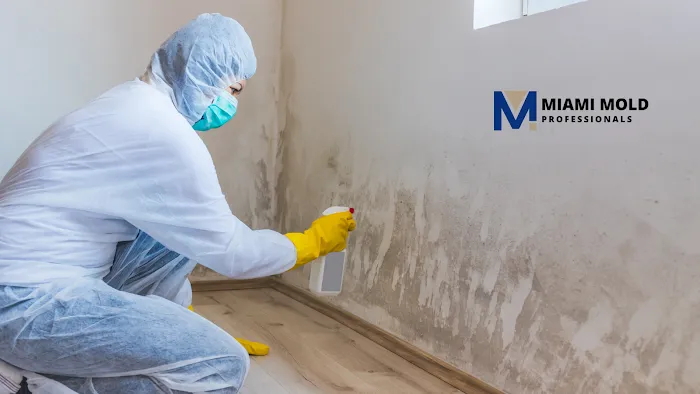 Miami Mold Professionals Picture 6