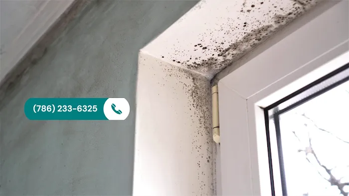 Miami Mold Professionals Picture 2