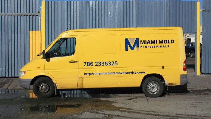 Miami Mold Professionals Picture 7