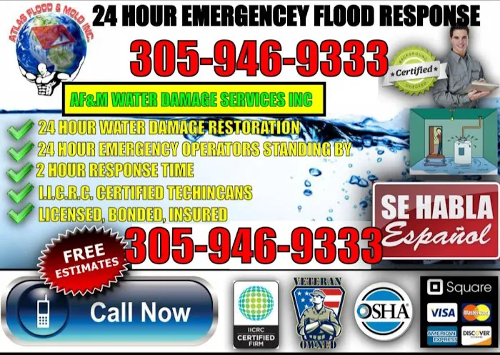 atlas flood & mold water damage services Picture 1