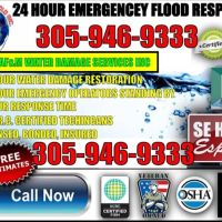 atlas flood & mold water damage services ico