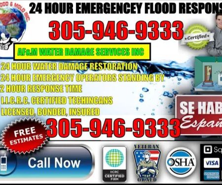 atlas flood & mold water damage services