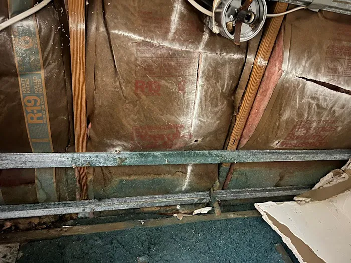 Royal Water Damage Picture 10