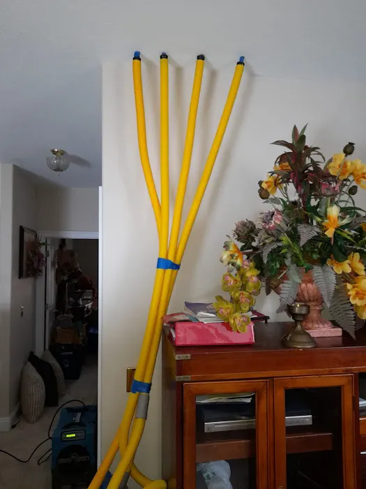 Royal Water Damage Picture 8