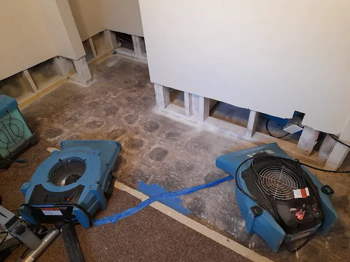 Royal Water Damage Picture 7