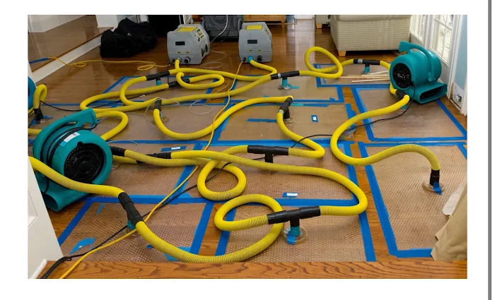 Relief Restoration Picture 1