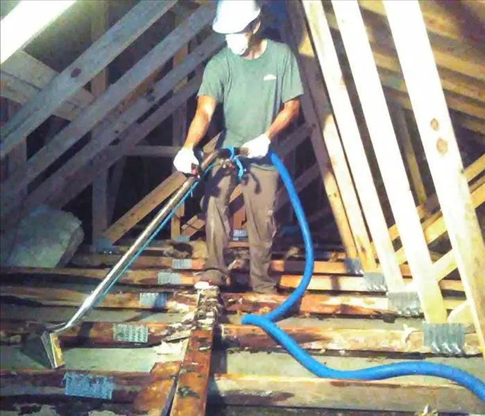 SERVPRO of South Miami Picture 10