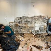 American Water Damage Restoration ico