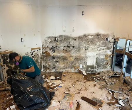 American Water Damage Restoration