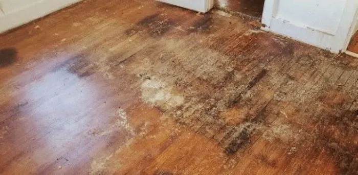 Myndi Water restoration Picture 2