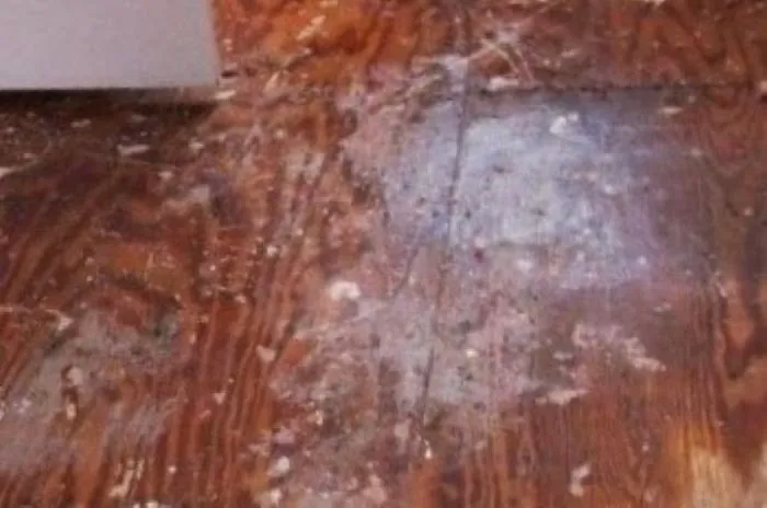 Myndi Water restoration Picture 3