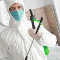 Immerz Water Damage ico