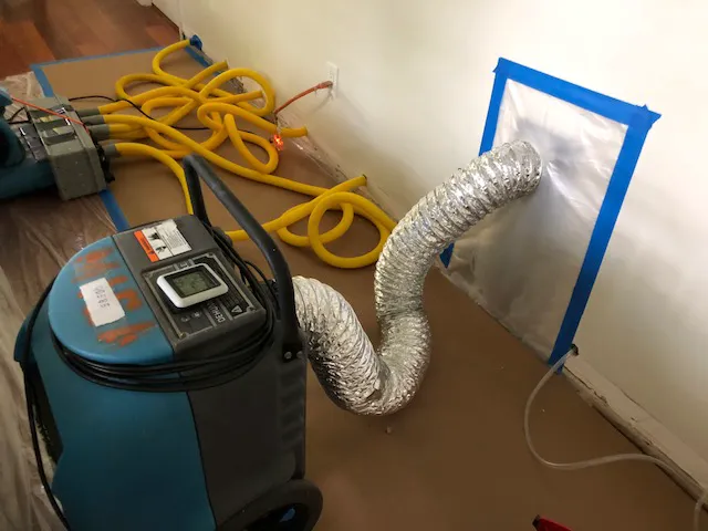 Mold Experts Now Picture 2