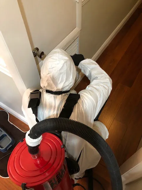 Mold Experts Now Picture 1