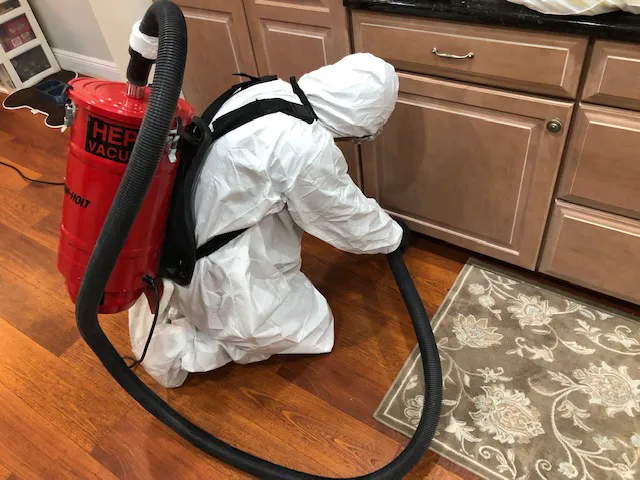 Mold Experts Now Picture 5