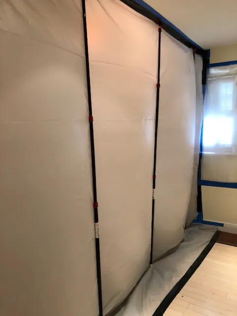 Mold Experts Now Picture 8