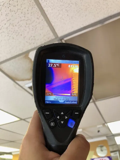 Mold Experts Now Picture 9