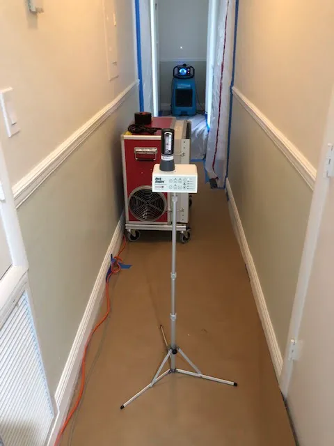 Mold Experts Now Picture 10