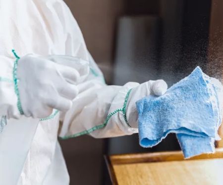 Vice City Mold Experts