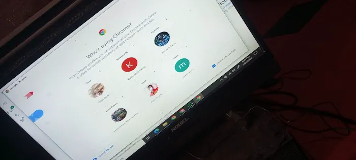 Vice City Mold Experts Picture 5