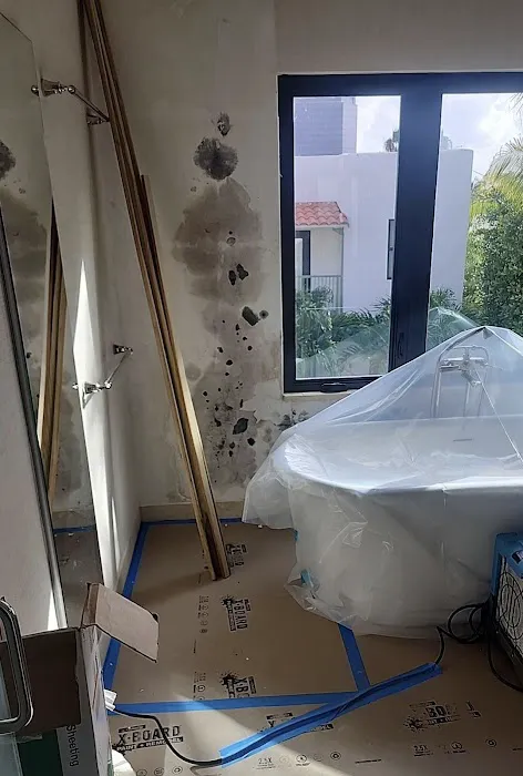 Shield Remediation Picture 5