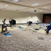 Shield Remediation ico