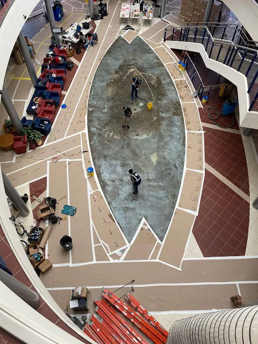 Shield Remediation Picture 3